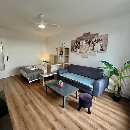 Appartement Rue Condorcet Parking Prive- Dabnb ليموج المظهر الخارجي الصورة